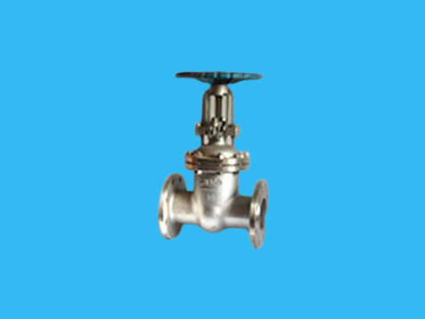 Russian standard gate valve 30 с forty-one нж