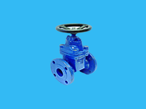 Seal gate valve 30 ч thirty-nine р