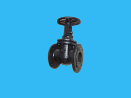 Parallel double gate valve 30 ч six бр